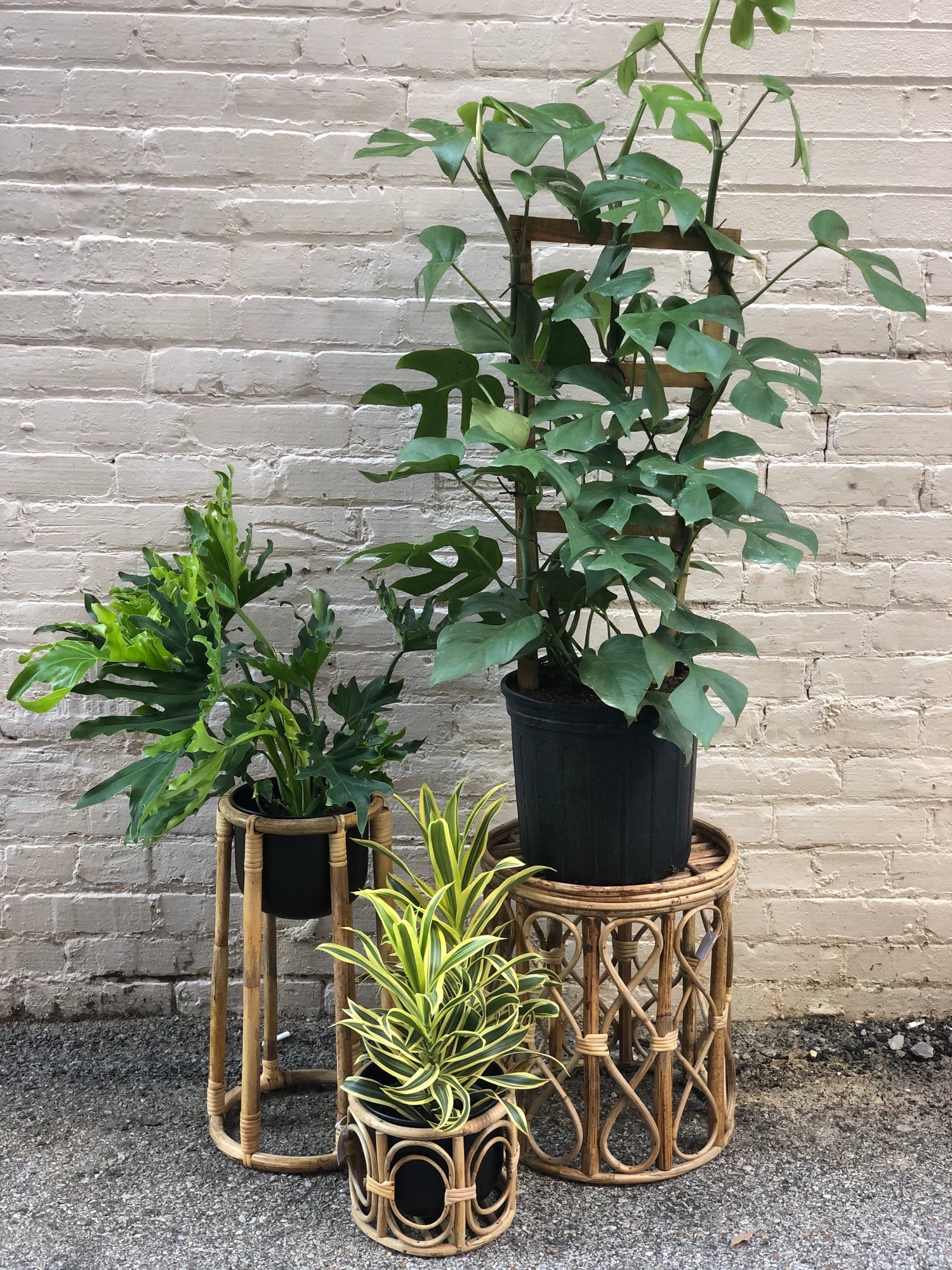 Plant Accessories