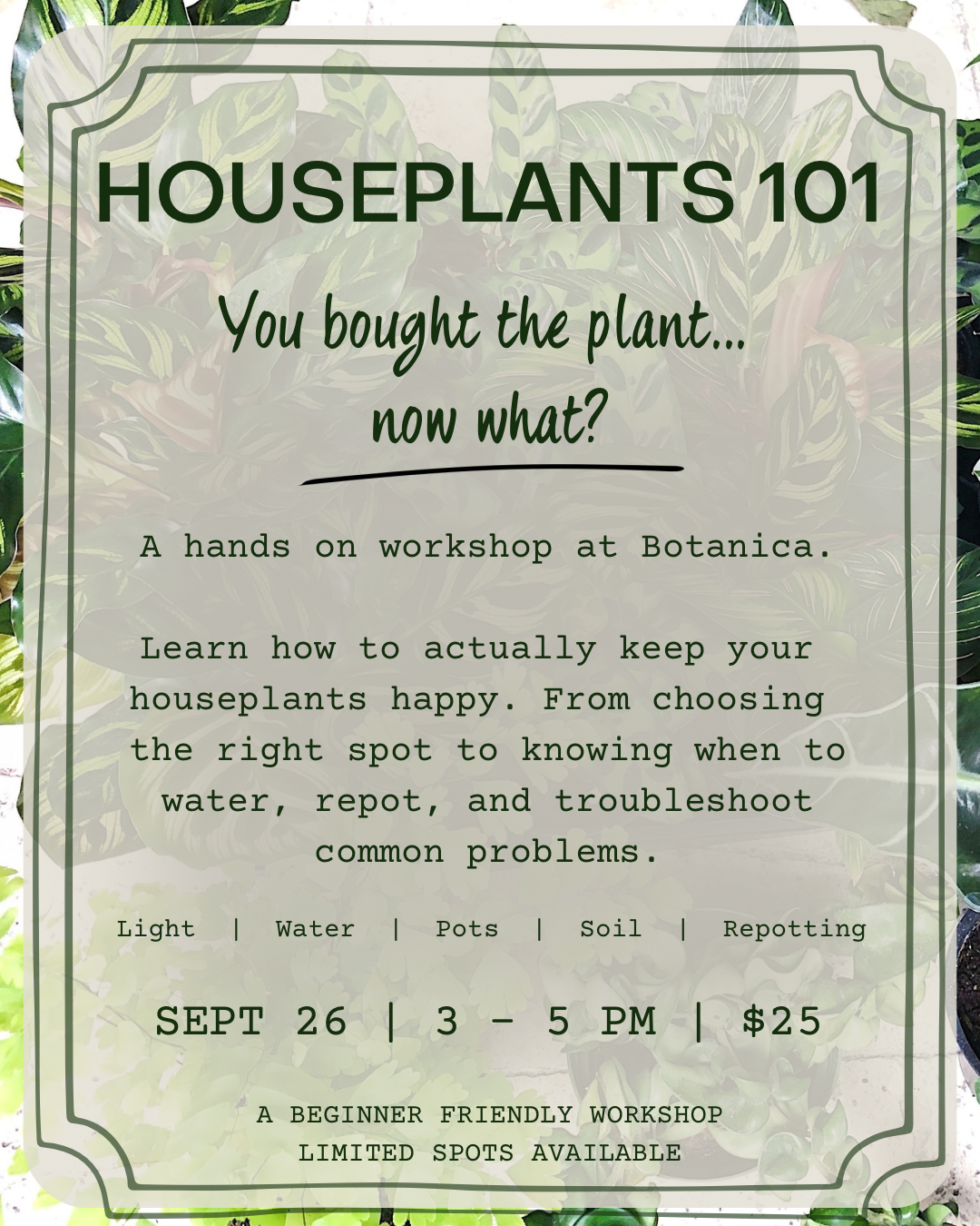 Houseplants 101 Sept 26th 3-5 pm