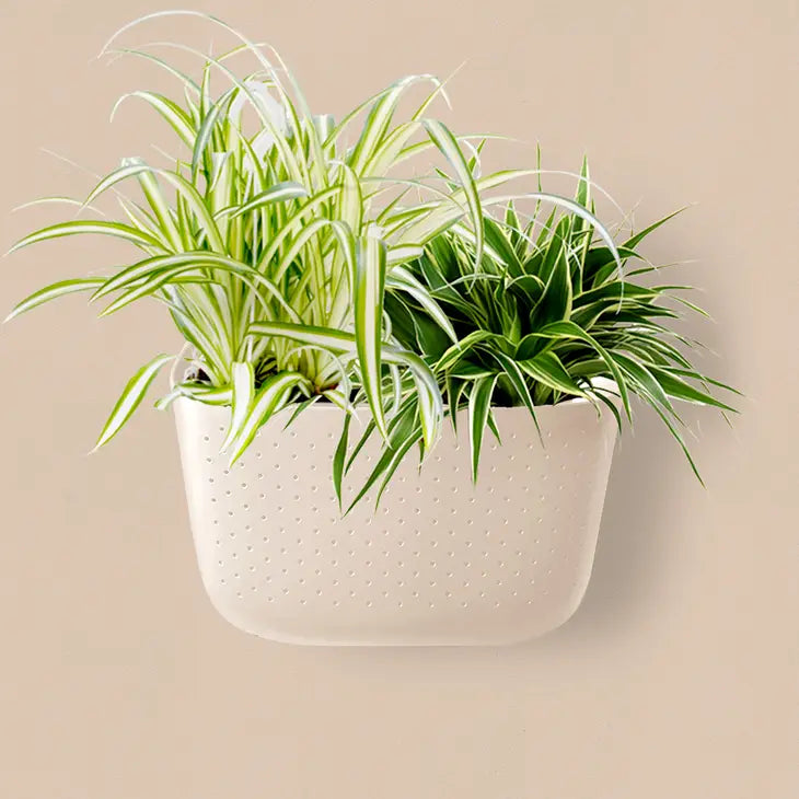 Eco Wall Planter