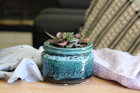 Jewel Self-Watering Planter - Perfect for Any Indoor Garden or Home Decor