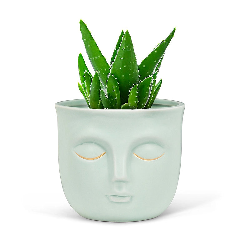 3.5" Face Planter