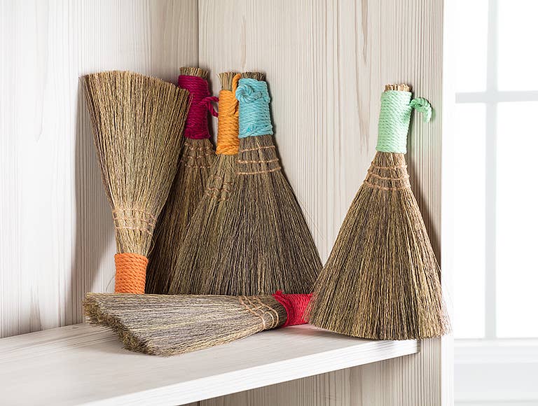 Whisk Broom