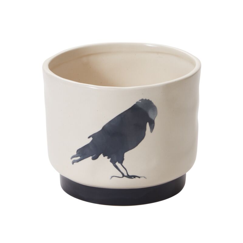 Corvus Pot