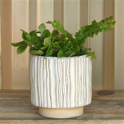 Ramos Vertical Cachepot