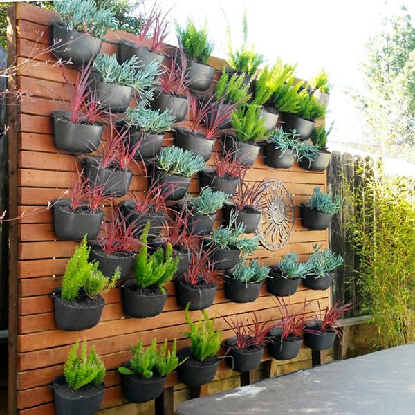 Eco Wall Planter