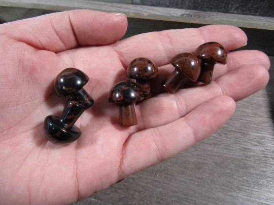 Mushrooms