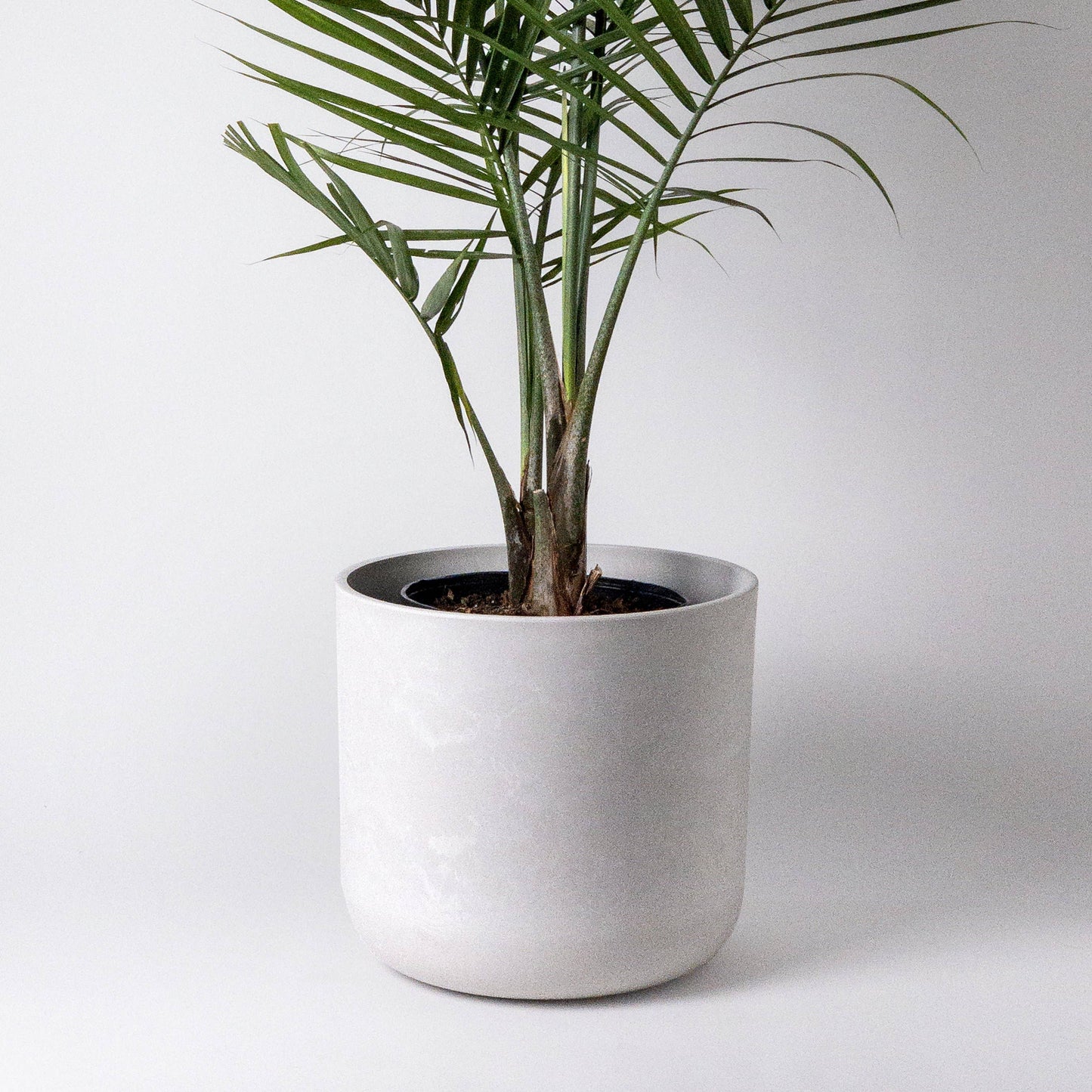 Signature Stone Planter & Saucer