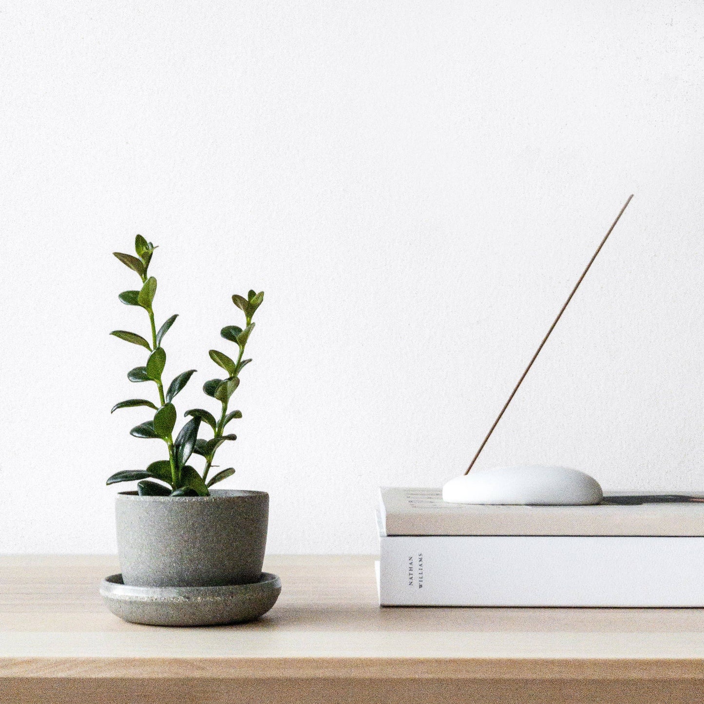 Kanso Mini Planter