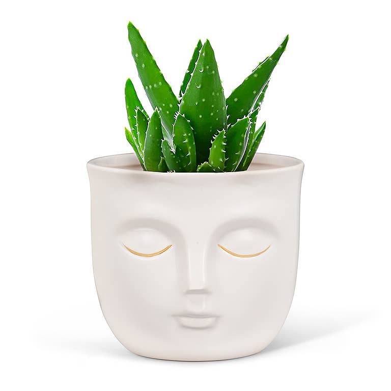 3.5" Face Planter