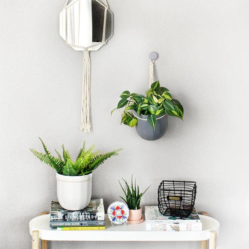 Loop Hanging Planter