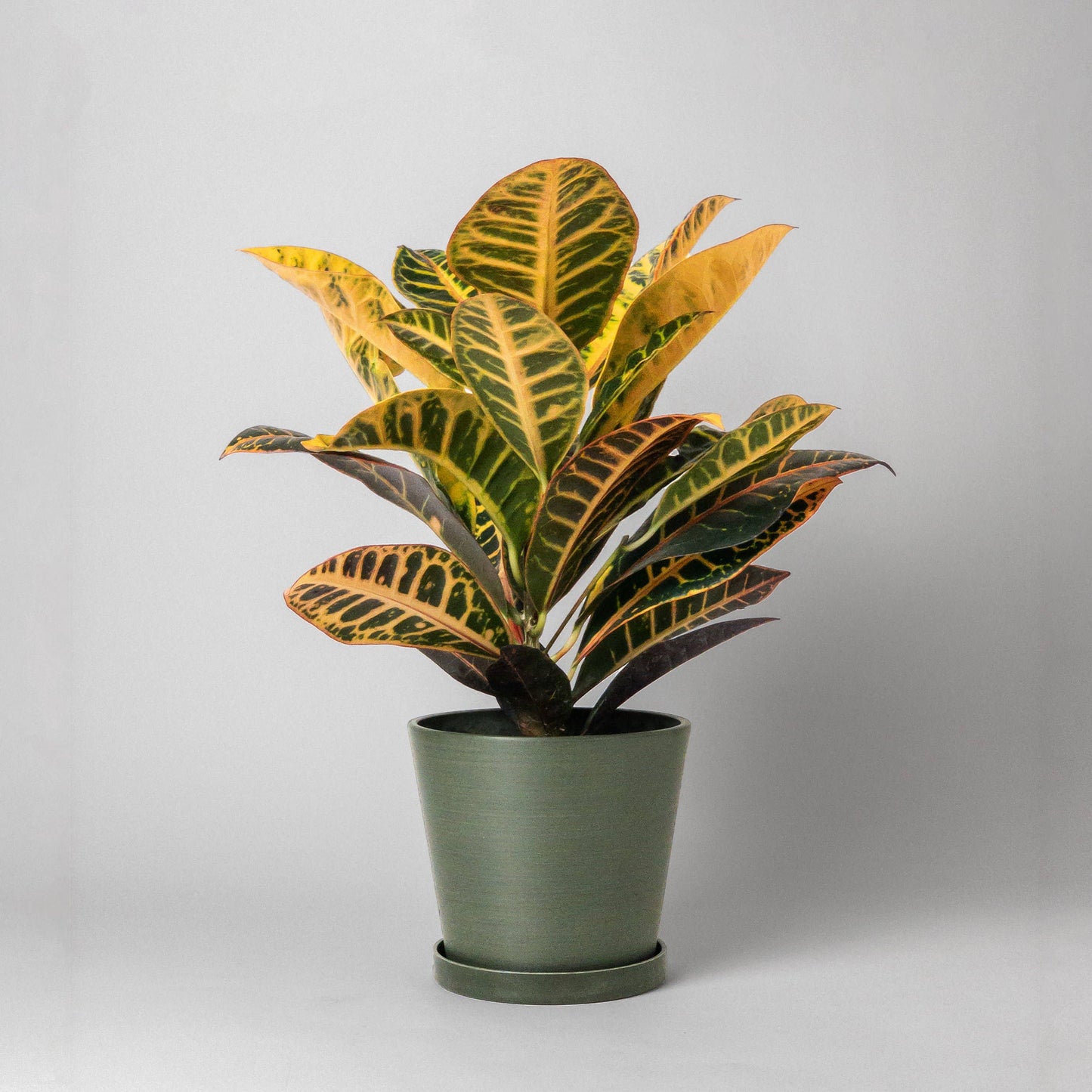 7" Tapered Signature Planter Pot & Saucer Set | Earth Tones