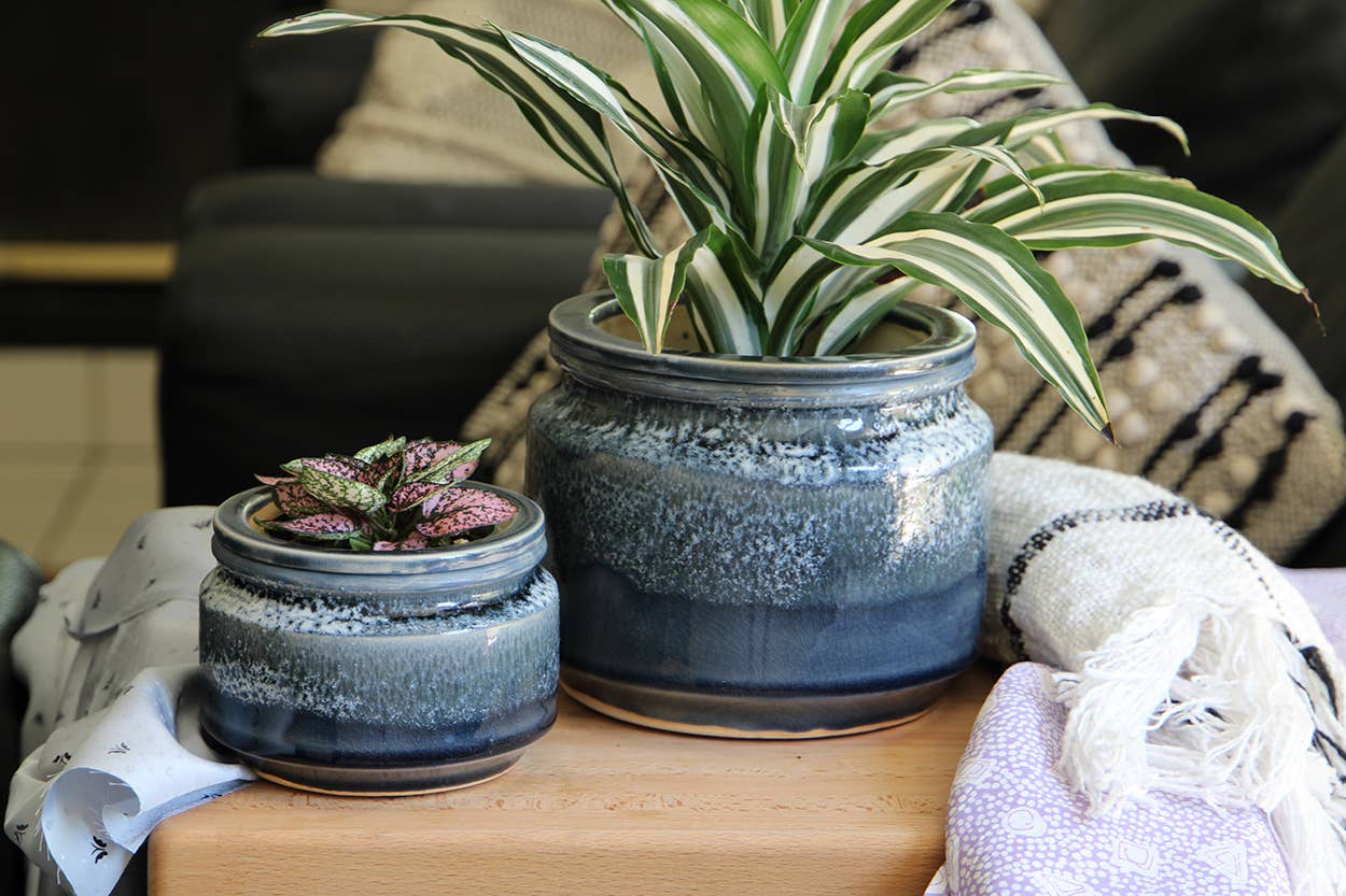 Jewel Self-Watering Planter - Perfect for Any Indoor Garden or Home Decor