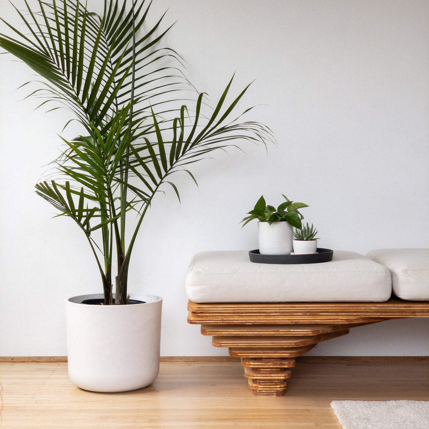 Signature Stone Planter & Saucer
