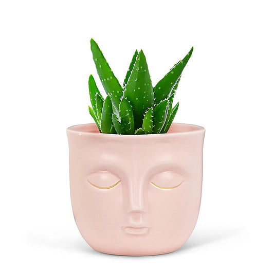 3.5" Face Planter