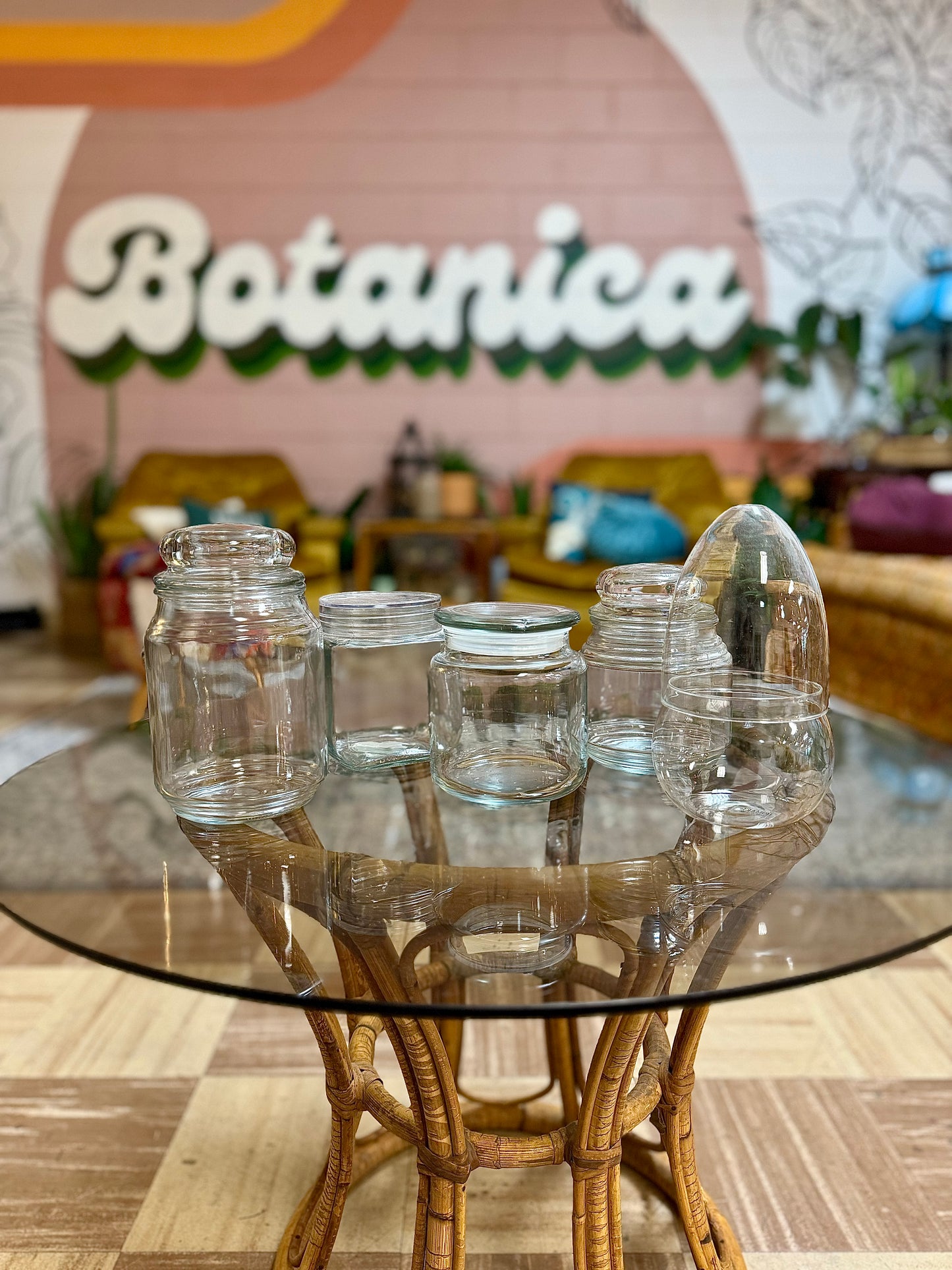 Terrarium Workshop - April 19 (Age 18+)