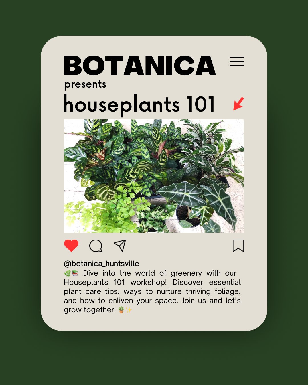 Houseplants 101 May 10th 3-5 pm