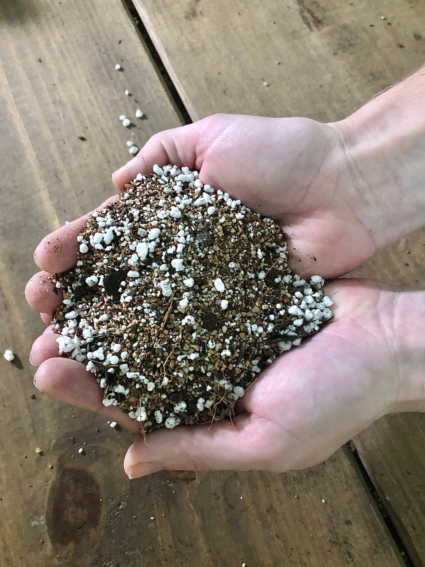 Botanica House Soil Mixes