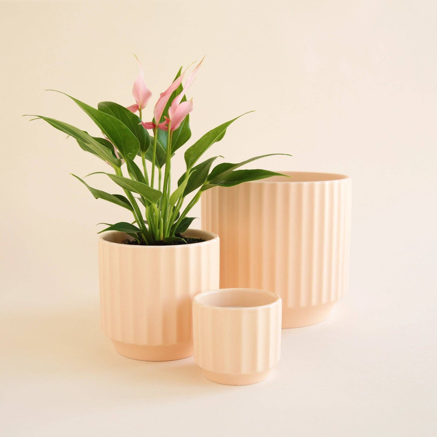 Monroe Pot