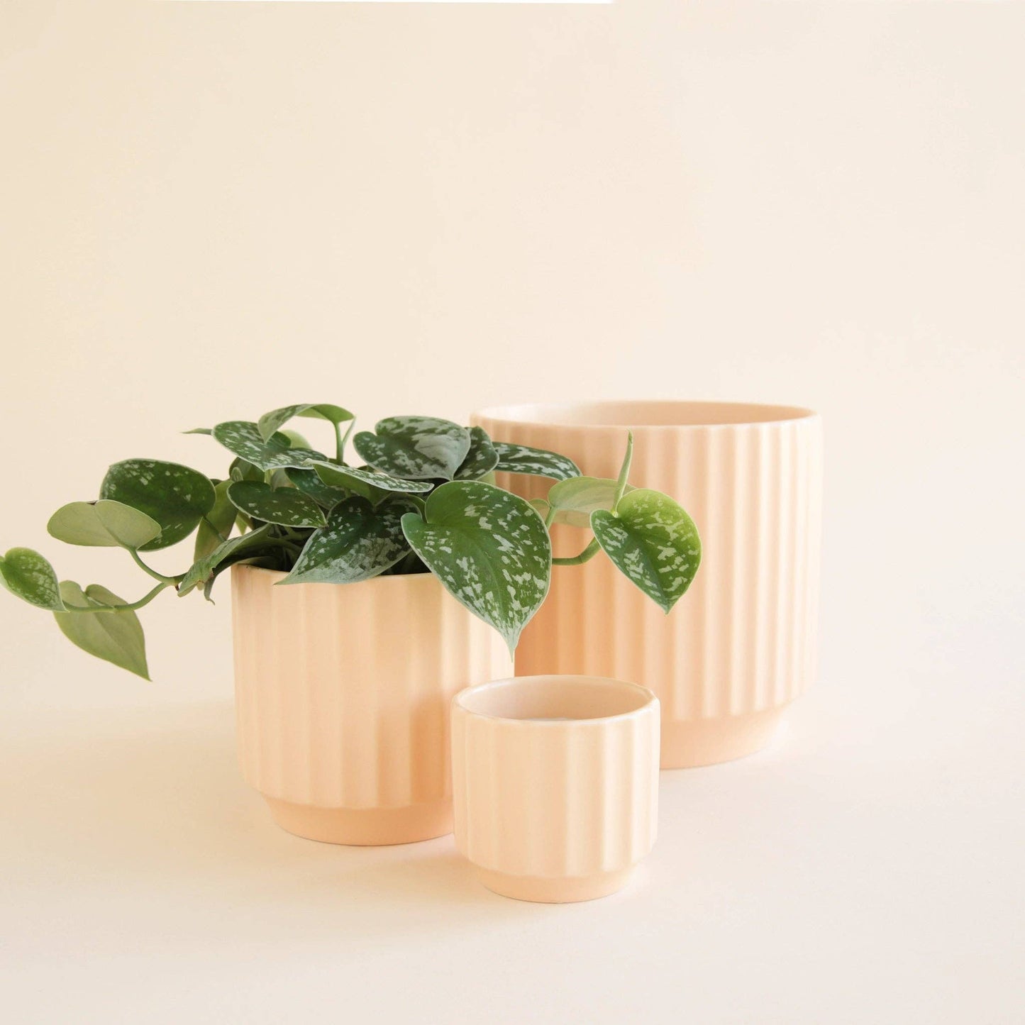 Monroe Pot