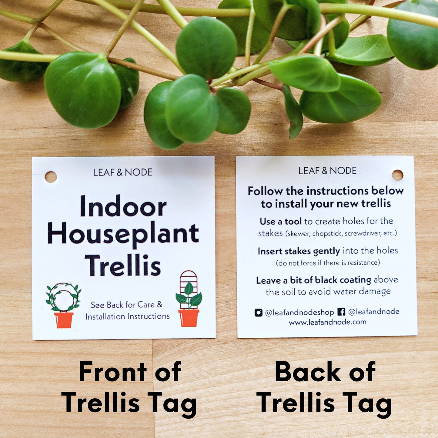 Wood Triple Hoop Indoor Plant Trellis: Decorative Support for Climbing Houseplants