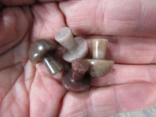 Mushrooms