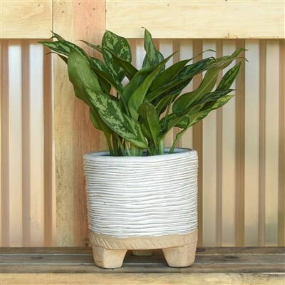 Ramos Horizontal Stripe Cachepot 6"