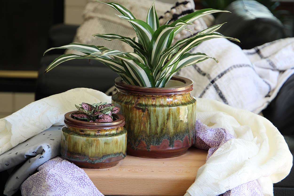 Jewel Self-Watering Planter - Perfect for Any Indoor Garden or Home Decor