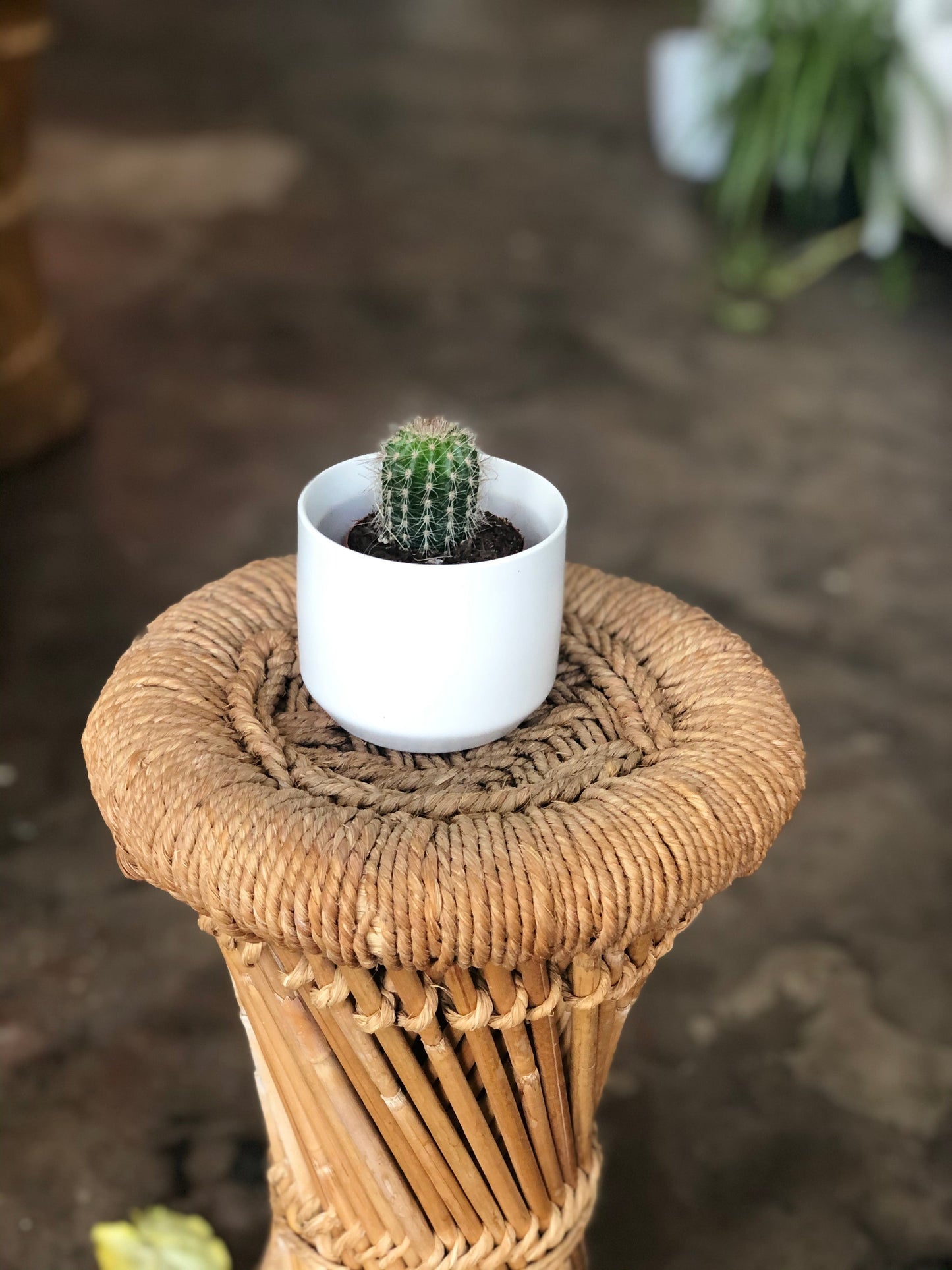 Kendall Pot 3-7"