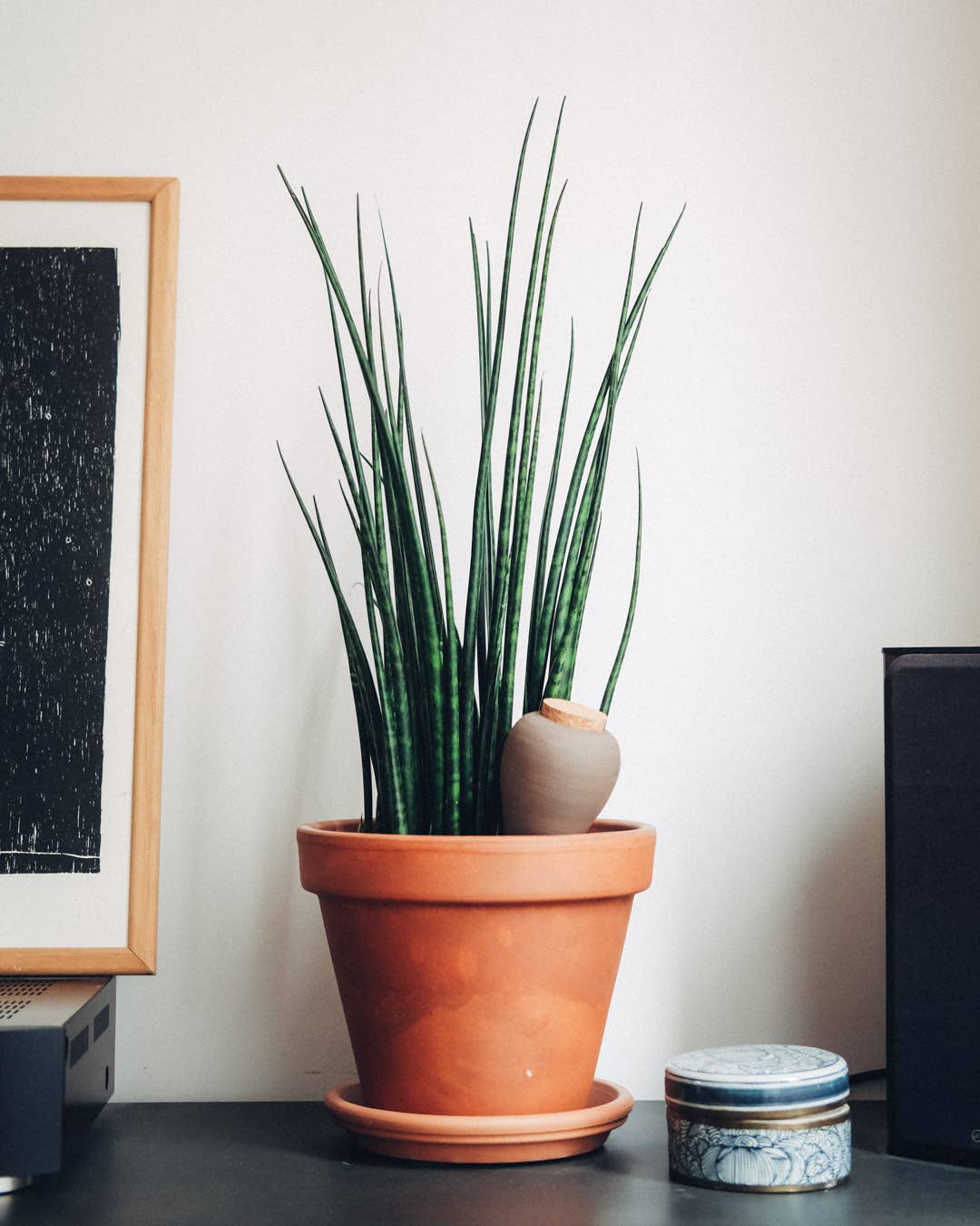 Olla Pepin - Terracotta