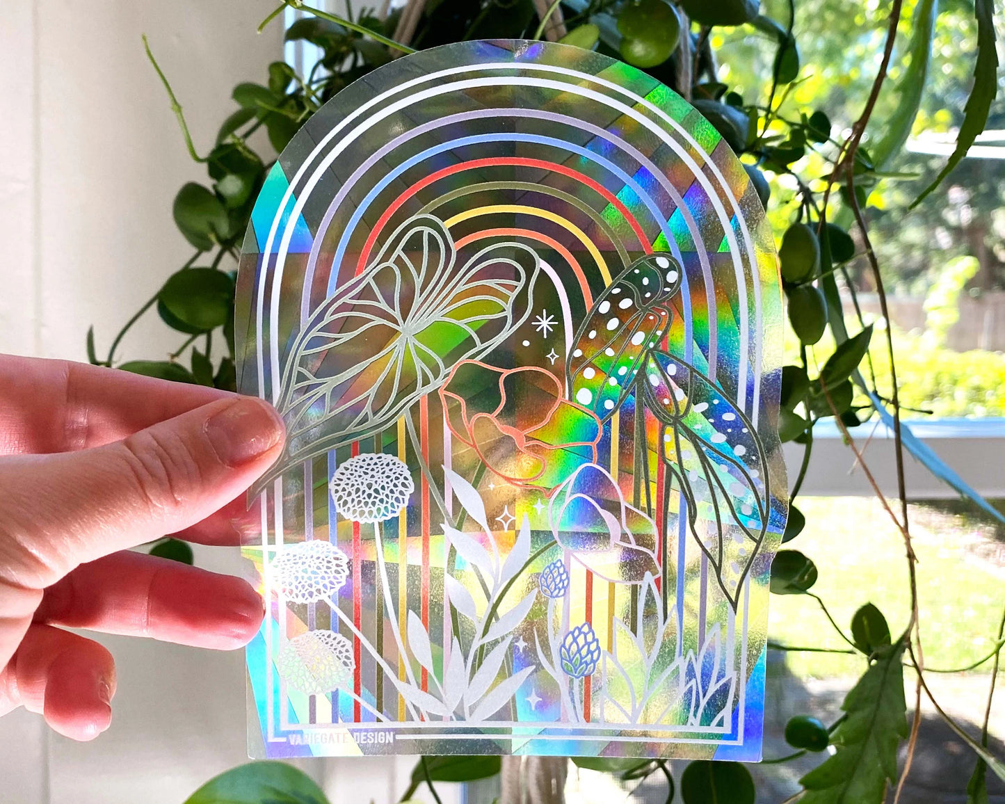 Rainbow Suncatchers