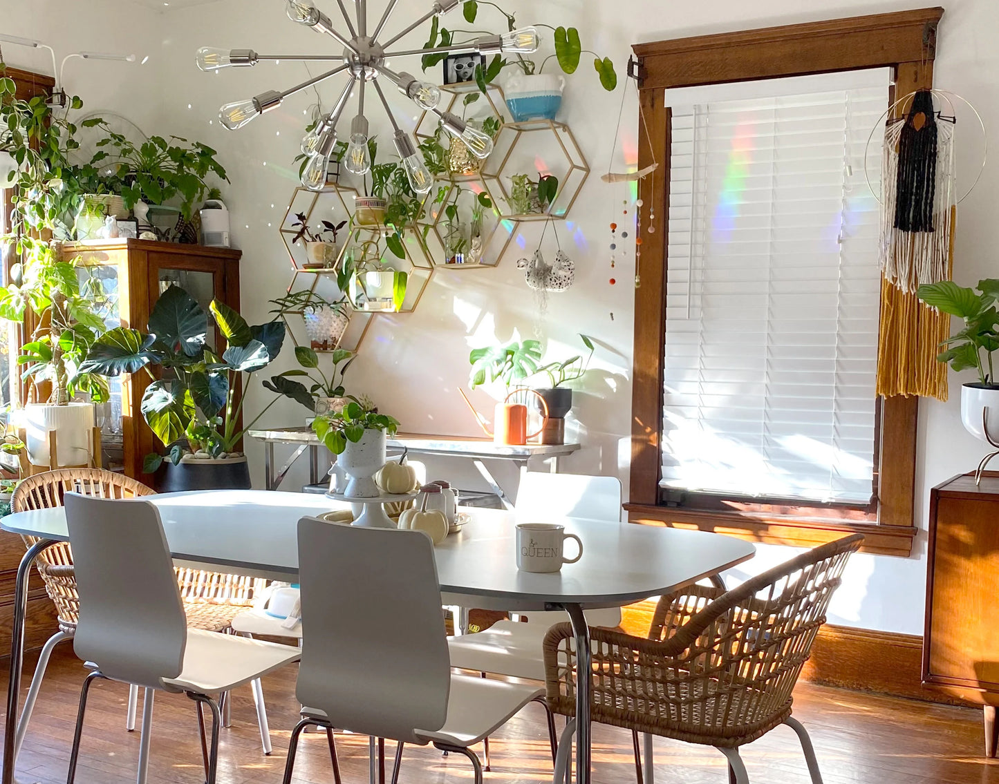 Rainbow Suncatchers
