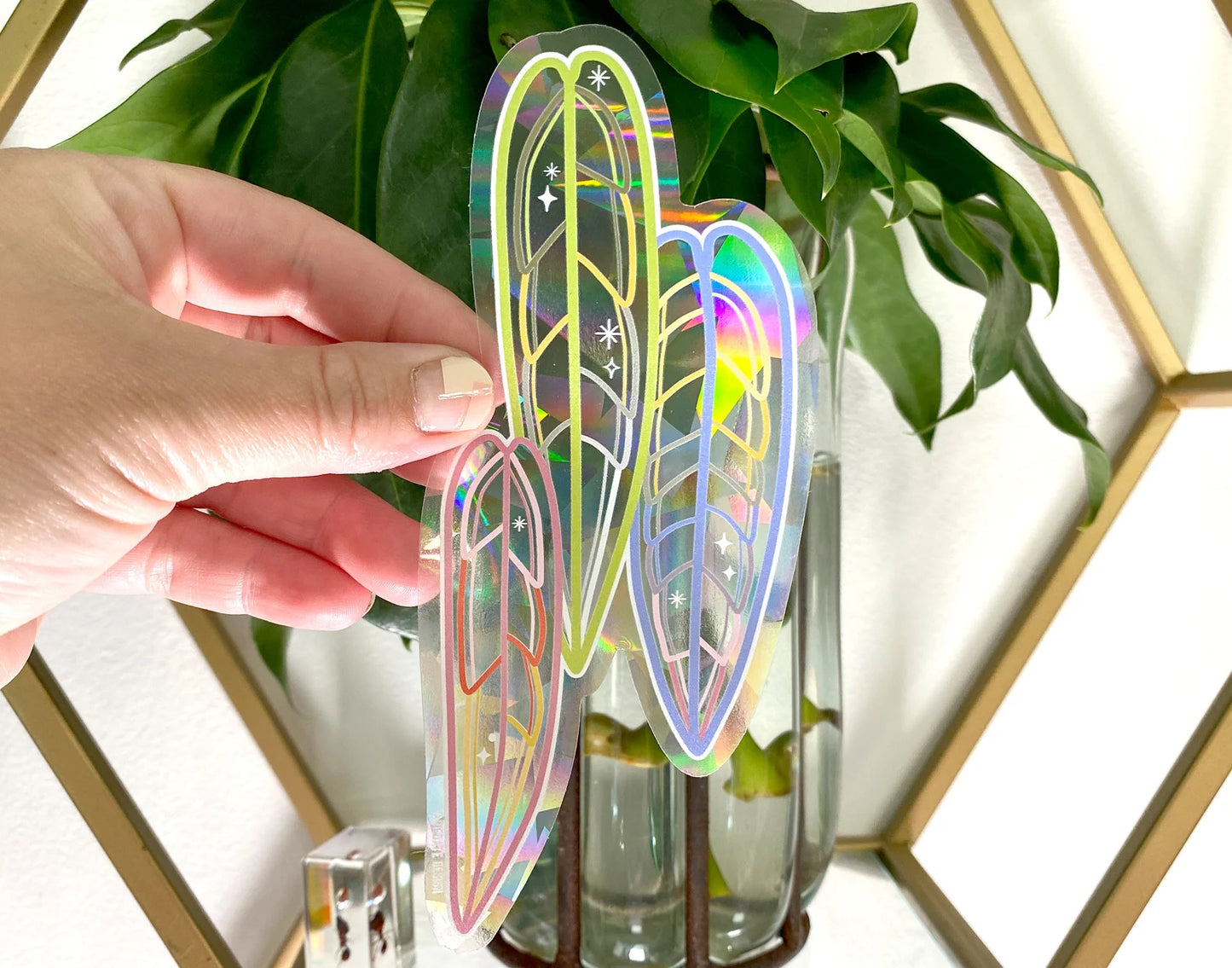 Rainbow Suncatchers