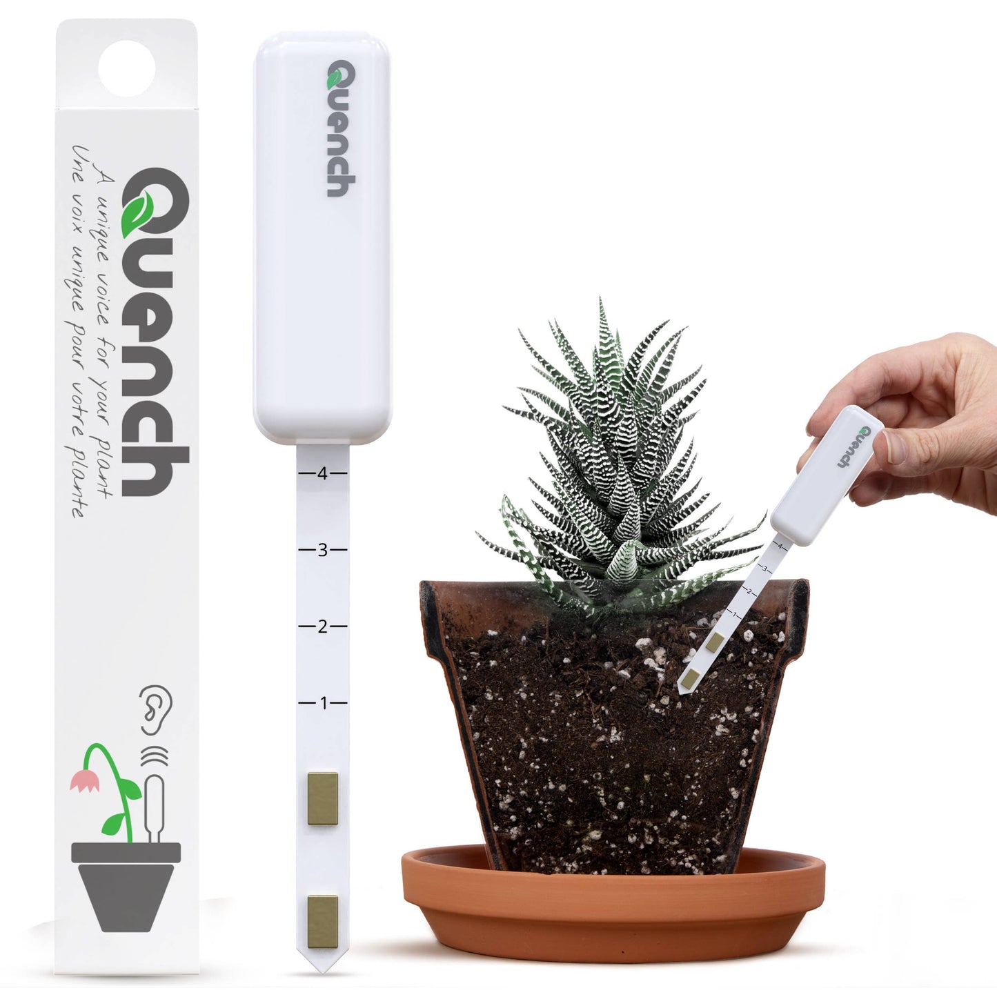 Quench Houseplant Watering Alarm - Regular
