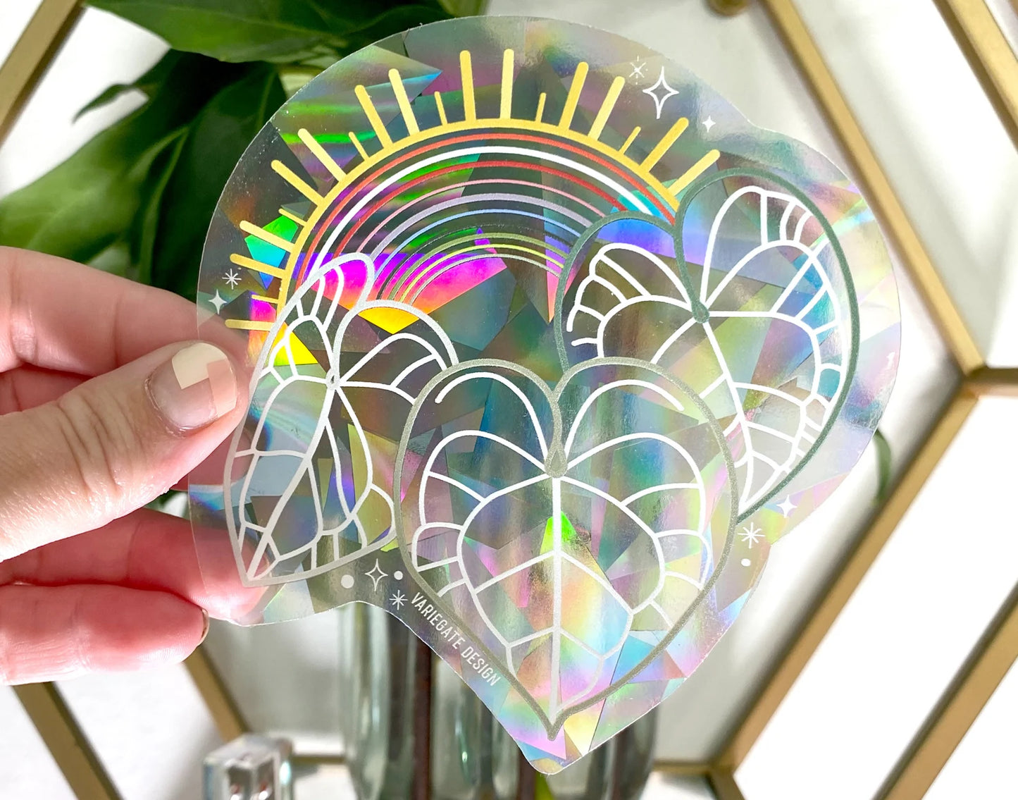 Rainbow Suncatchers