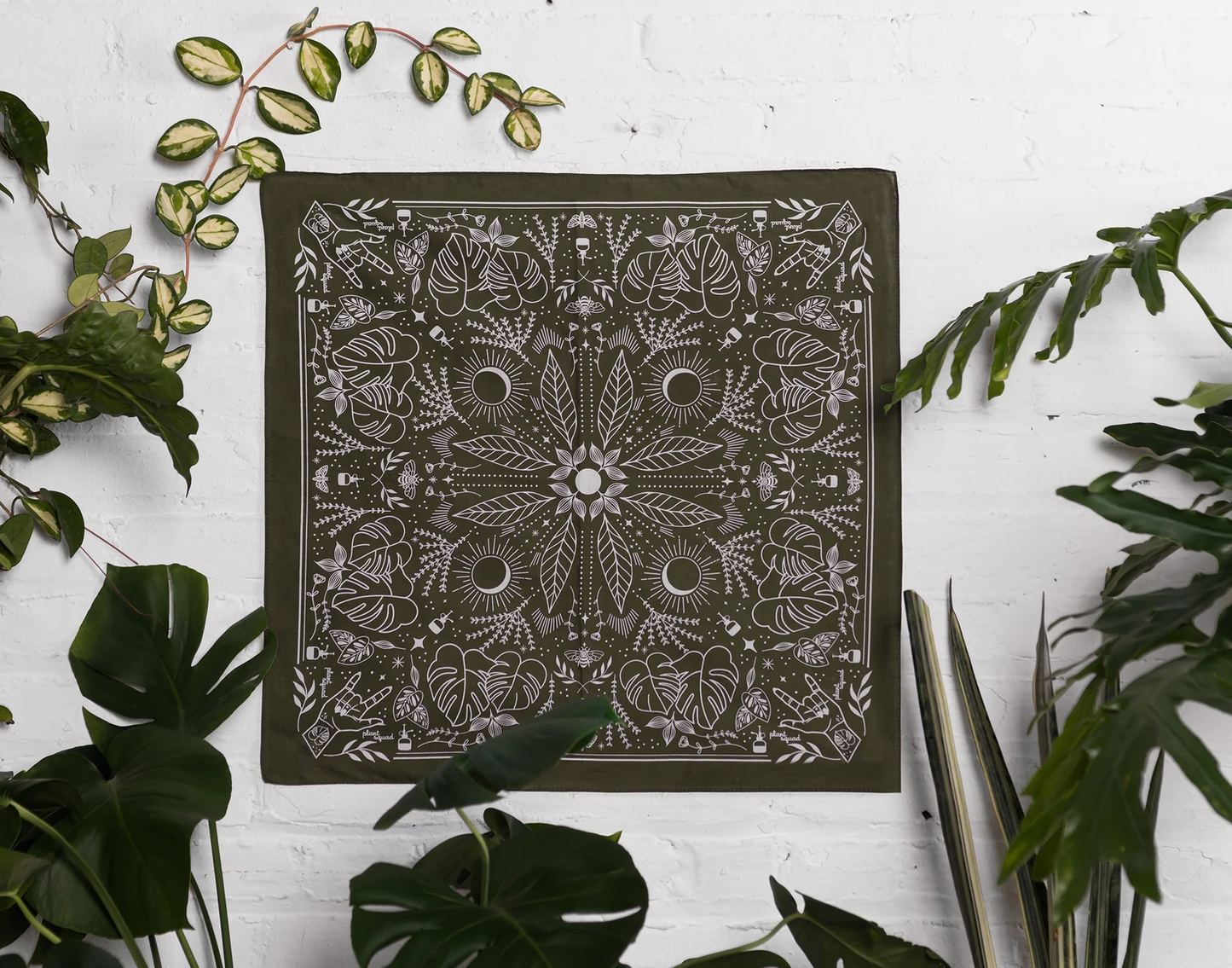 Monstera Plant Squad