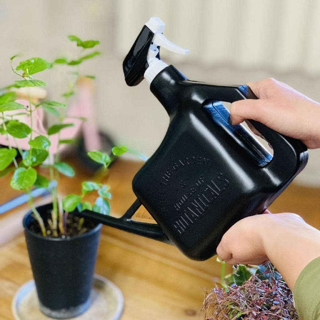 Spray Sprinkler