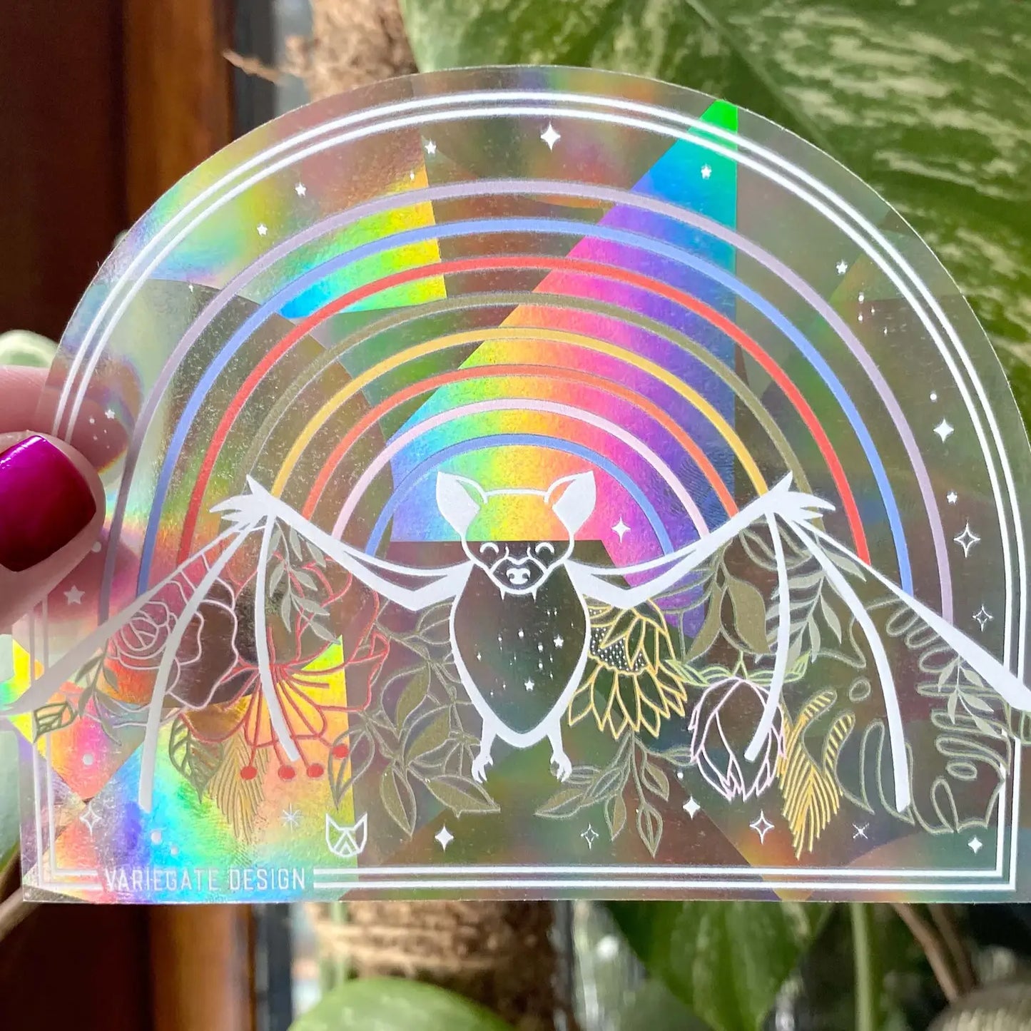 Rainbow Suncatchers