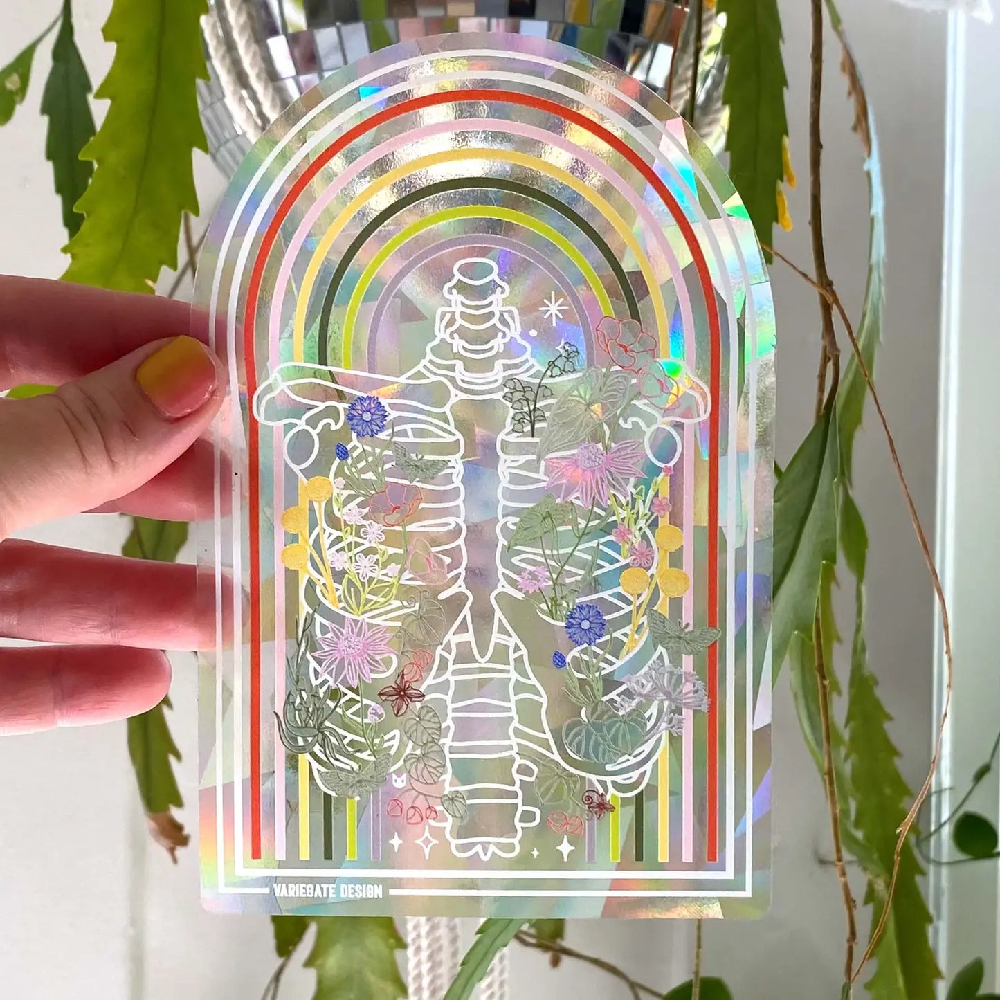 Rainbow Suncatchers