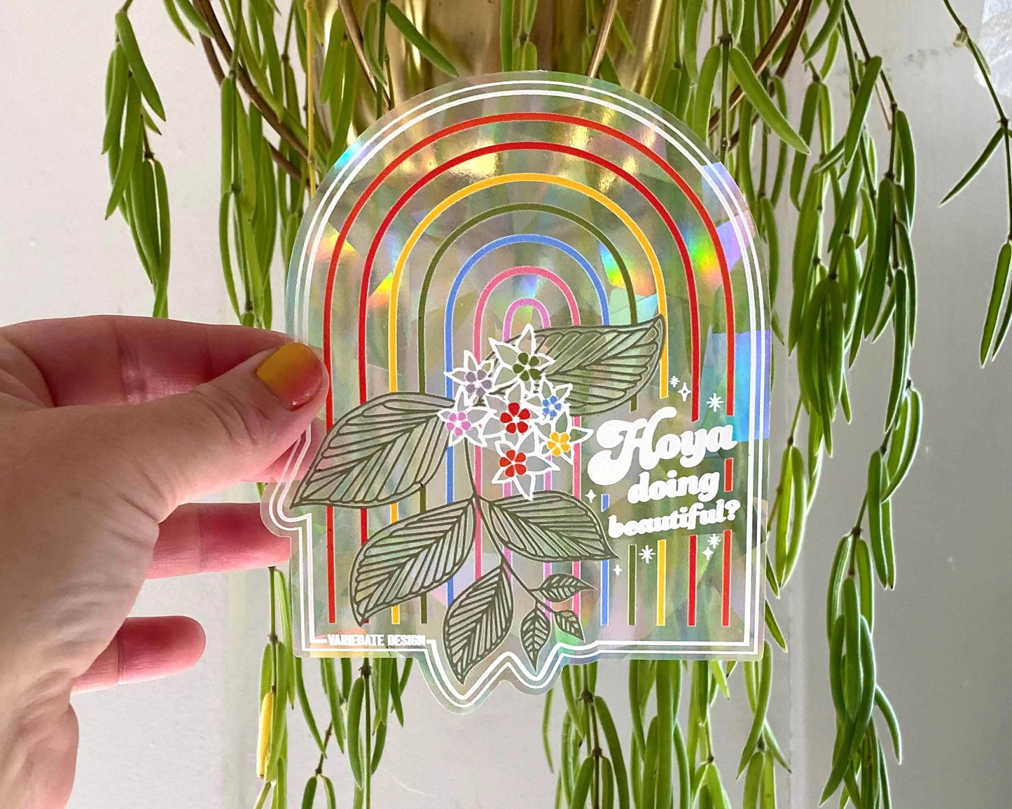 Rainbow Suncatchers