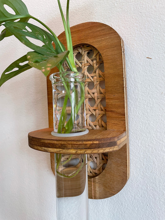 Rattan Propagation hangers