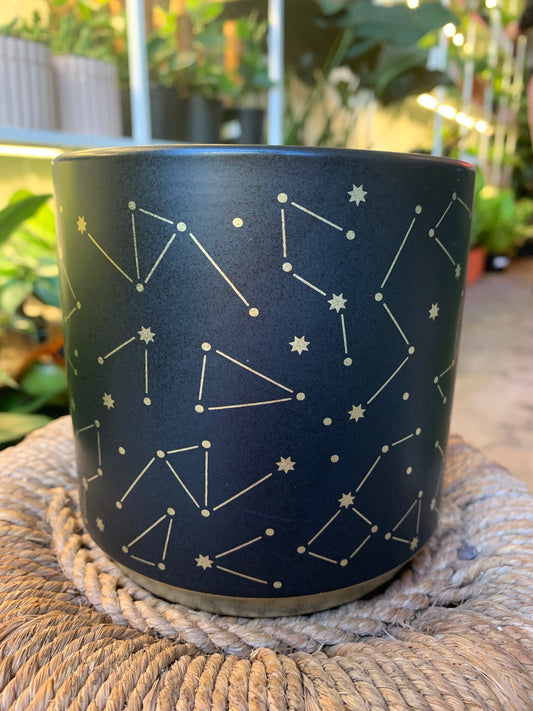 Universe Pot 4”