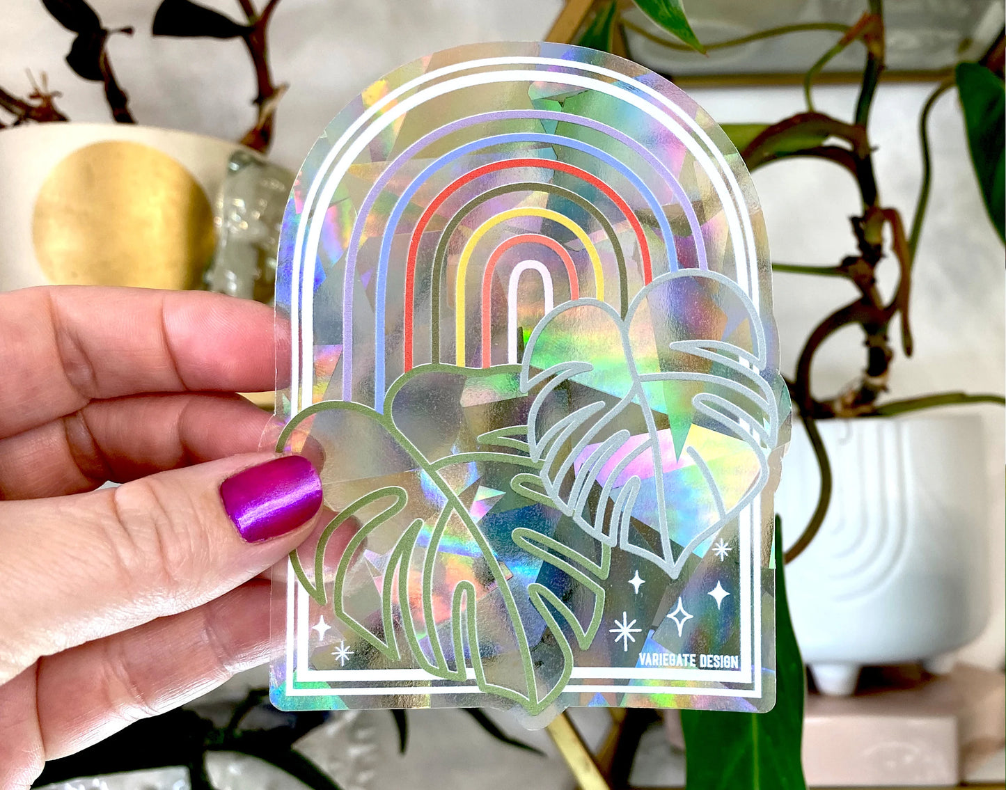 Rainbow Suncatchers