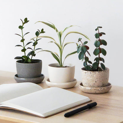 Kanso Planter + Saucer 3-7"