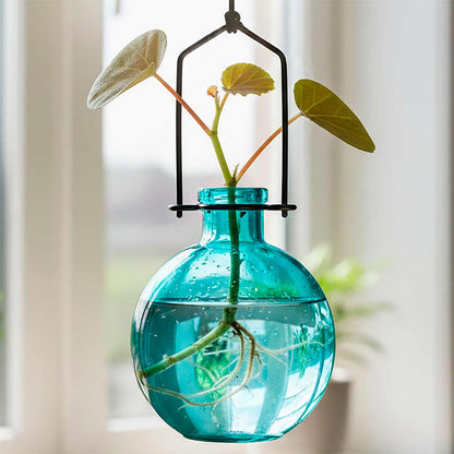 Hanging Propagation Vase
