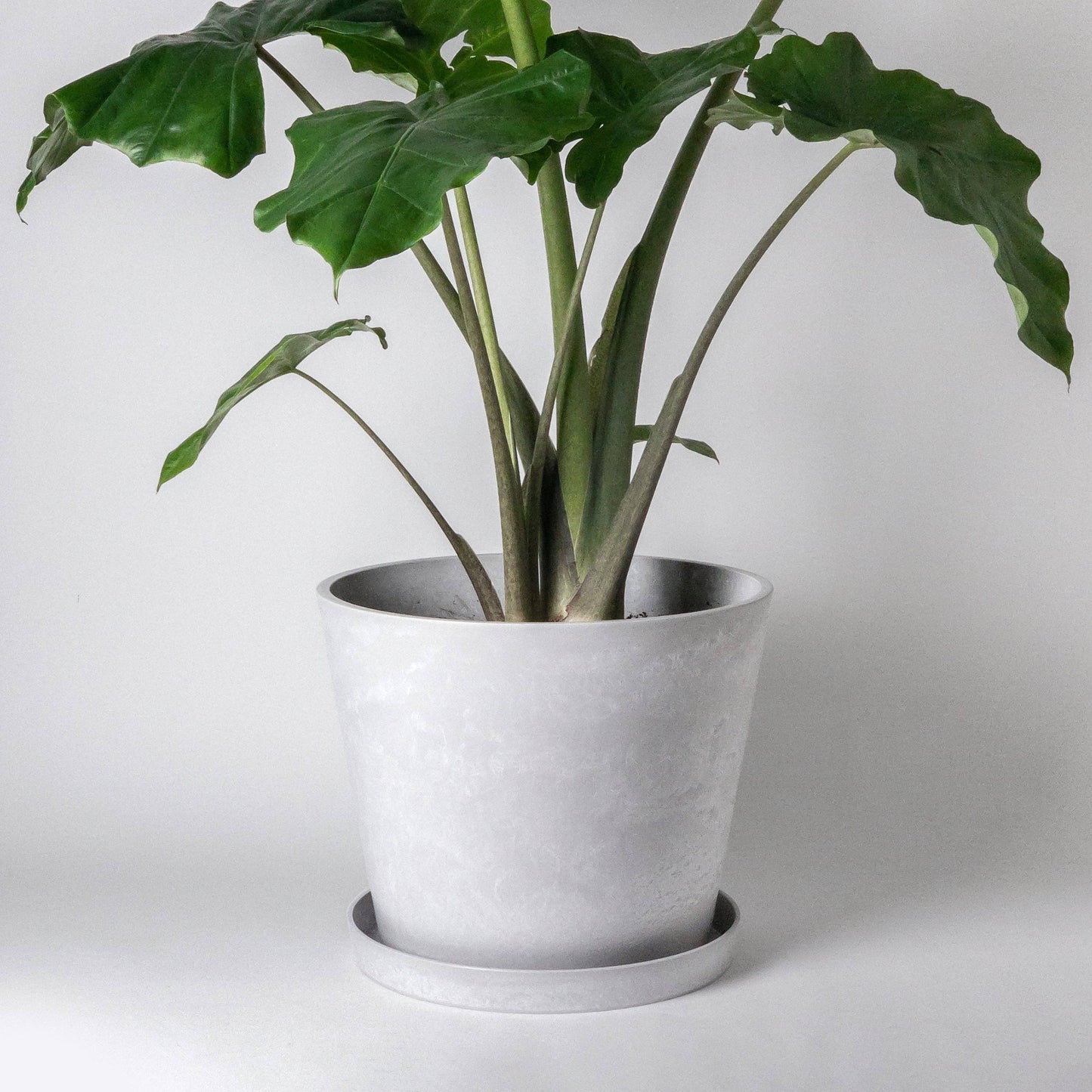 Tapered Planter