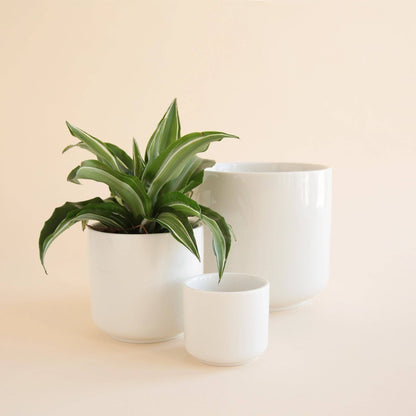 Charlie Pot