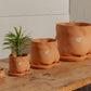 5" Terra-Cotta booty pot (With Saucer)