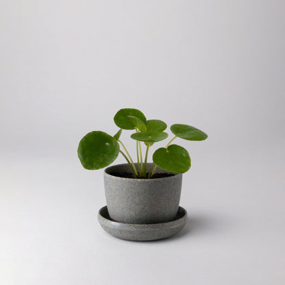 Kanso Planter + Saucer 3-7"