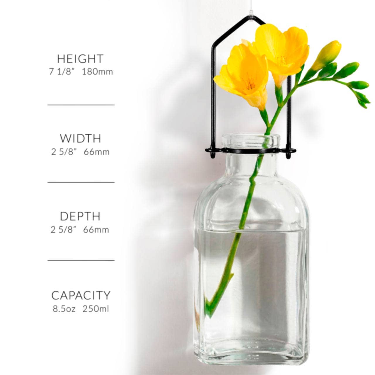 Hanging Propagation Vase