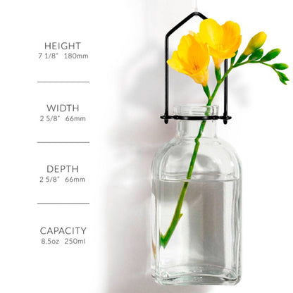Hanging Propagation Vase